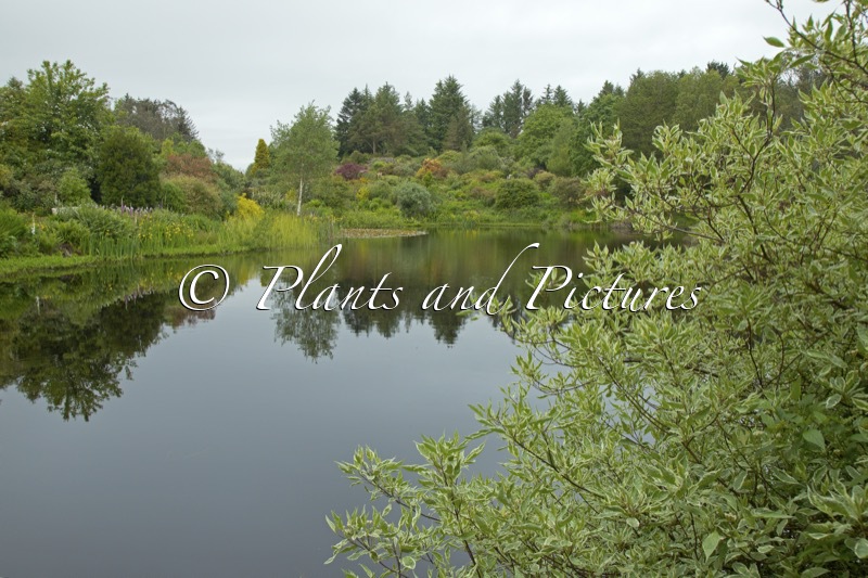 Glenwhan Gardens