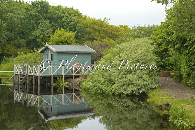 Glenwhan Gardens