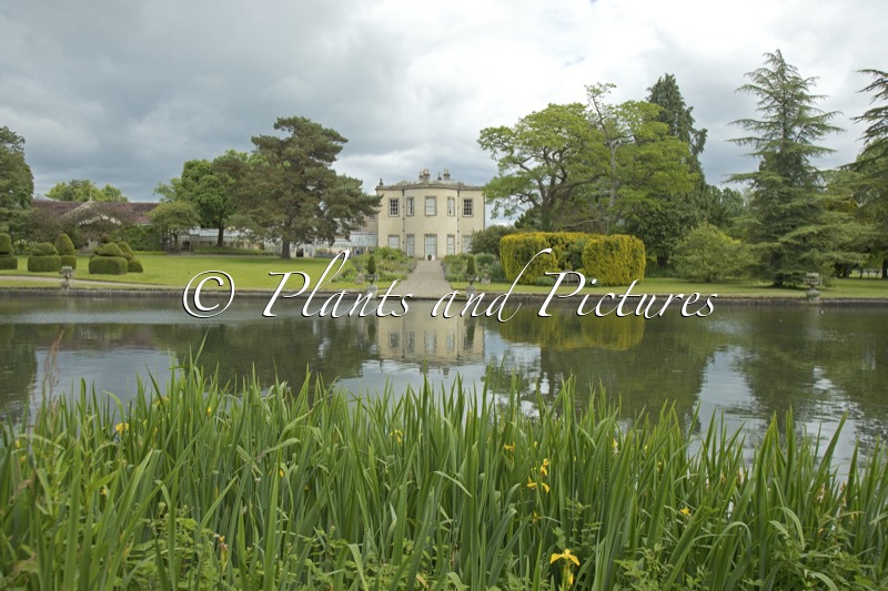 Thorp Perrow Arboretum