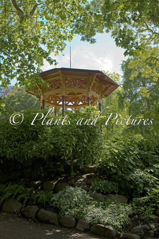 Visby Botaniska Trädgård