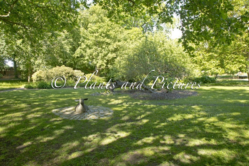 Visby Botaniska Trädgård