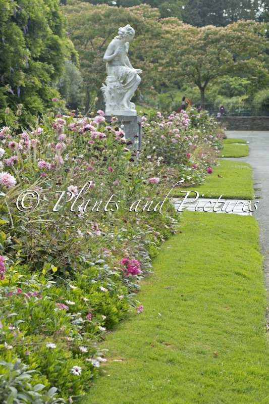 Jardin des Plantes