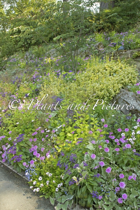 Jardin des Plantes