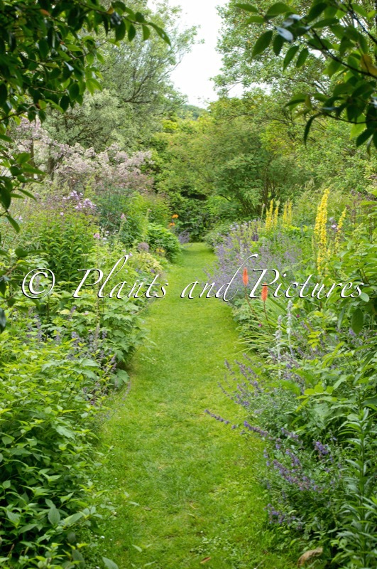 Marwood Hill Gardens