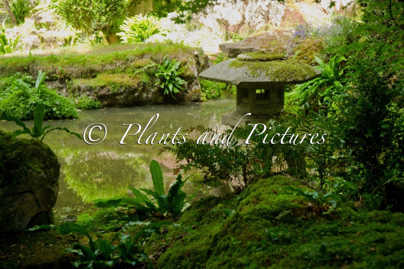 Iford Manor