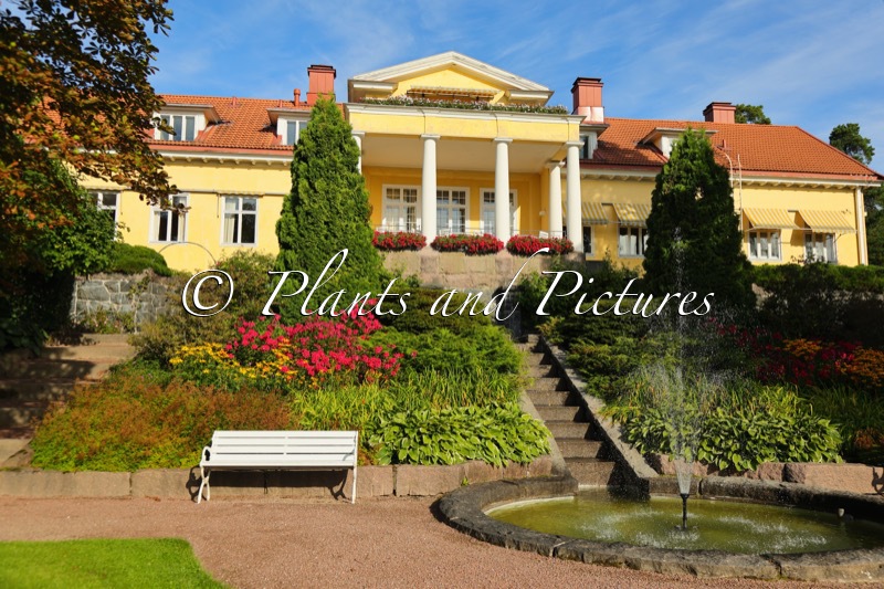 Villa Furuvik